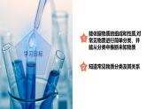2.4 物质的分类（教学课件）-2024-2025学年度九年级科学上册同步高效课堂（浙教版）