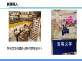 2.4 物质的分类（教学课件）-2024-2025学年度九年级科学上册同步高效课堂（浙教版）