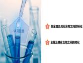 2.5 物质的转化（第1课时）（教学课件）-2024-2025学年度九年级科学上册同步高效课堂（浙教版）