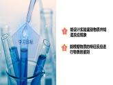 2.5 物质的转化（第4课时）（教学课件）-2024-2025学年度九年级科学上册同步高效课堂（浙教版）