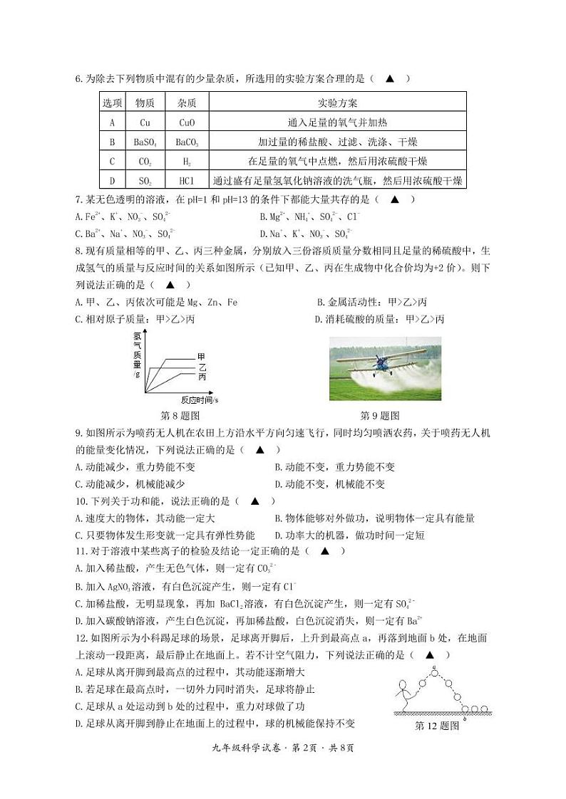 2024学年第一学期期中阶段性检测9第2页