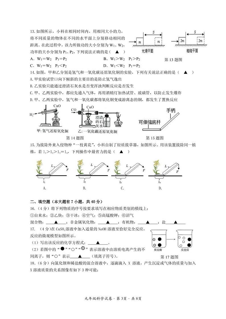 2024学年第一学期期中阶段性检测9第3页