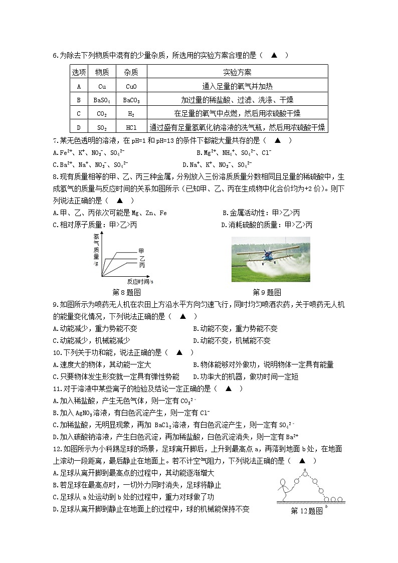 2024学年第一学期期中阶段性检测9第2页