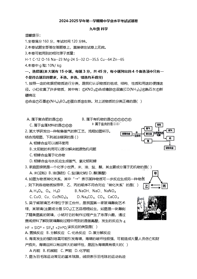 浙江省绍兴市越城区树人中学2024-2025学年九年级上学期11月期中科学试题第1页