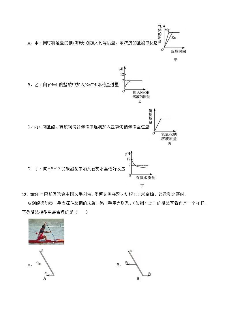 浙江省金华市南苑中学2024-2025学年九年级上学期10月月考检测科学卷第3页