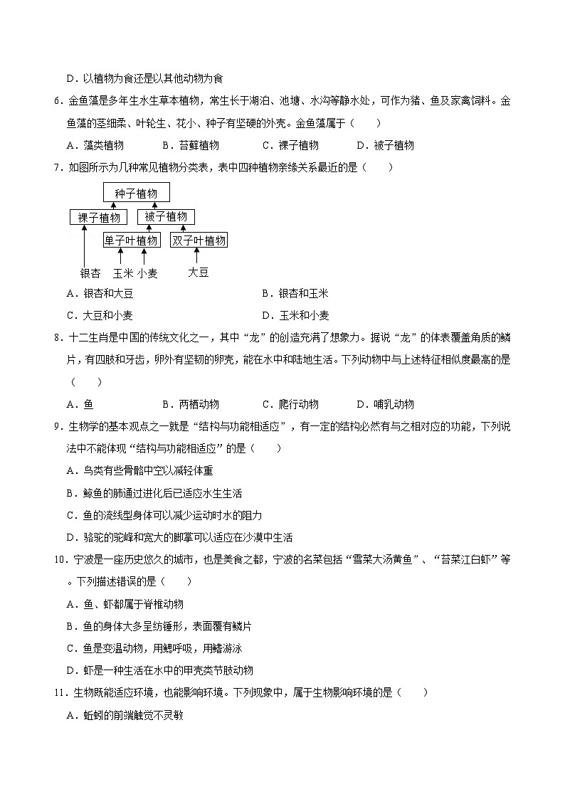 浙江省宁波市四校（鄞州实验、曙光、海三外、东钱湖）联考2024-2025学年七年级上学期期中科学试卷  含解析02