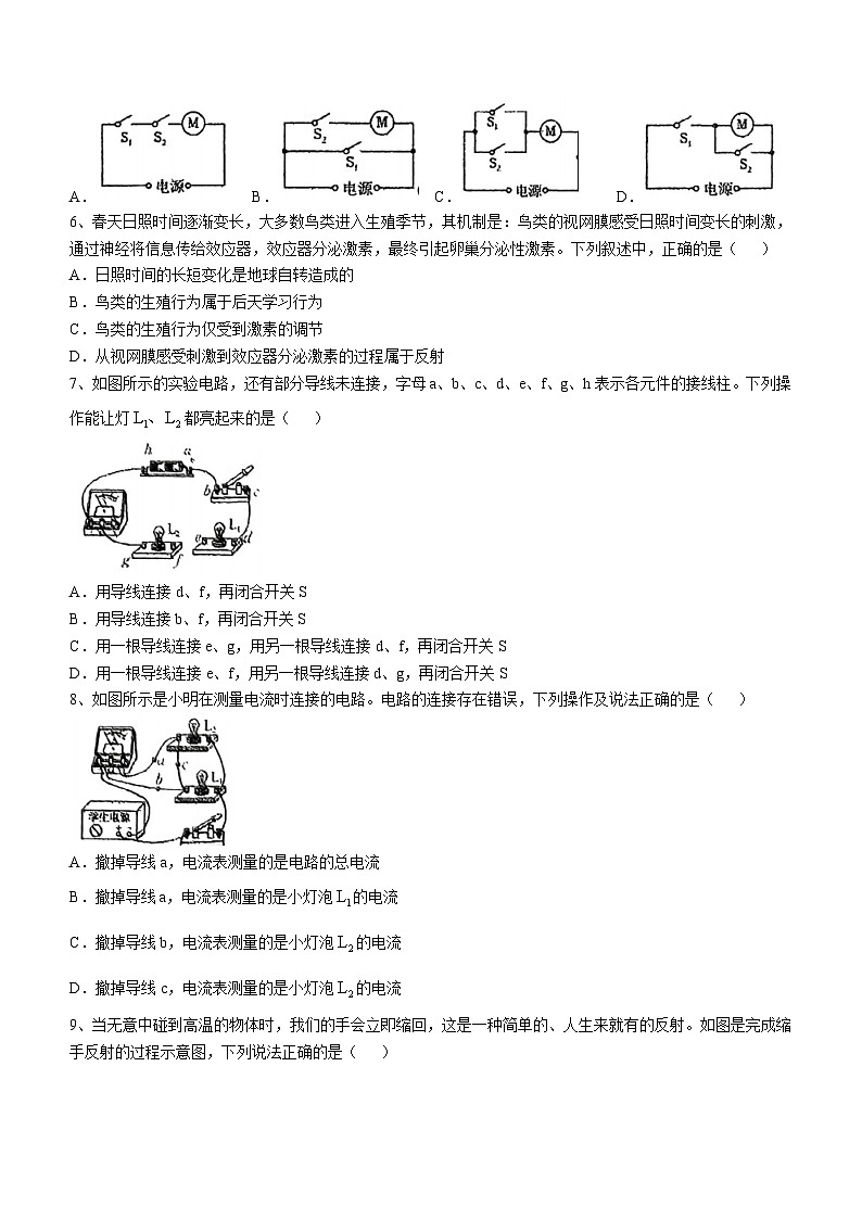 浙江省宁波市实验学校（五四制）2024-2025学年八年级上学期期中科学试卷(无答案)第2页