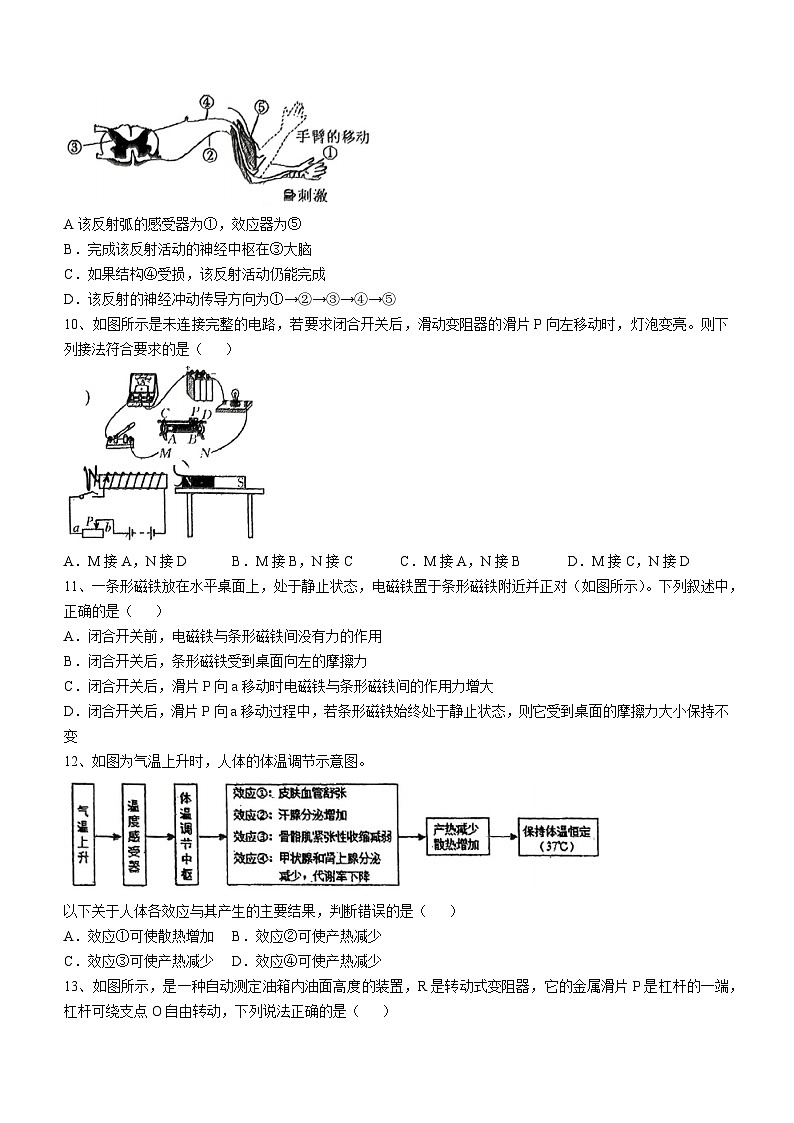 浙江省宁波市实验学校（五四制）2024-2025学年八年级上学期期中科学试卷(无答案)第3页
