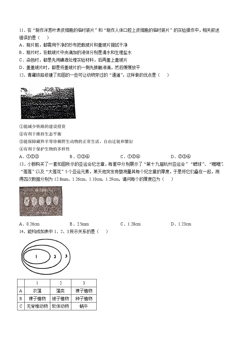 浙江省杭州市六校联考2024-2025学年七年级上学期期中科学测试卷(无答案)03
