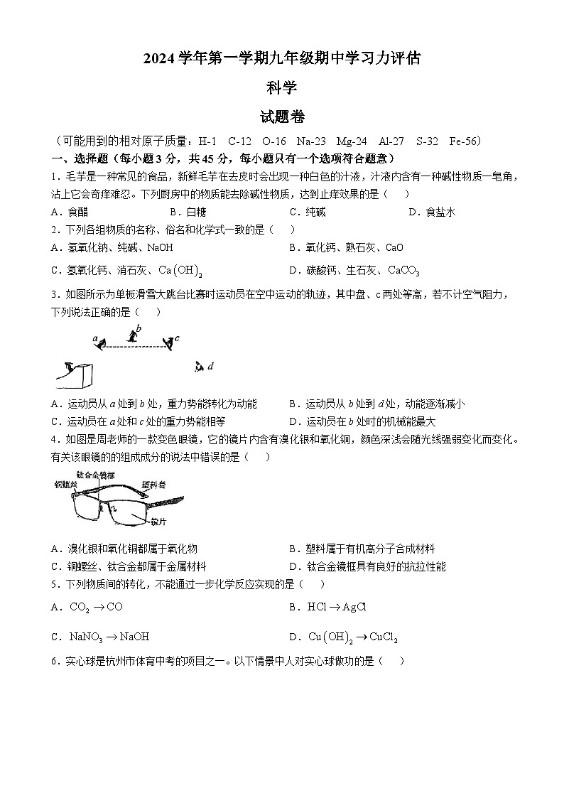 浙江省杭州市华东师范大学附属杭州中学2024-2025学年九年级上学期期中科学试卷(无答案)第1页