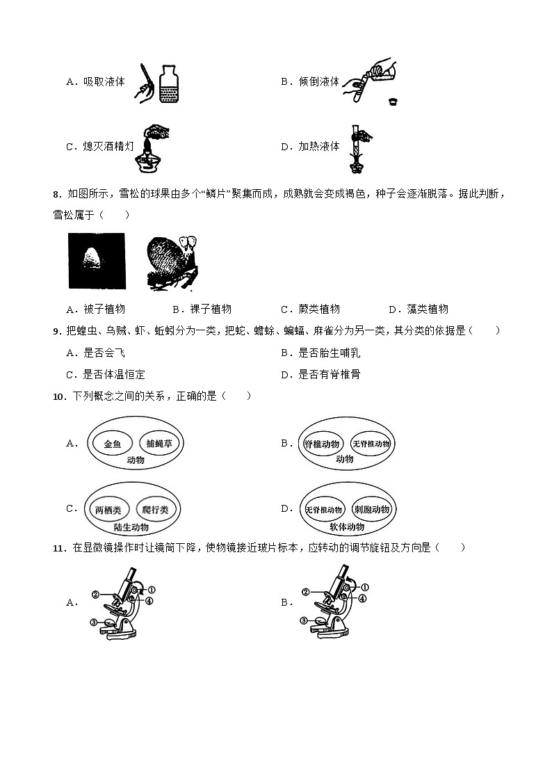 浙江省温州市实验中学2024-2025学年七年级上学期期中测试科学试题02