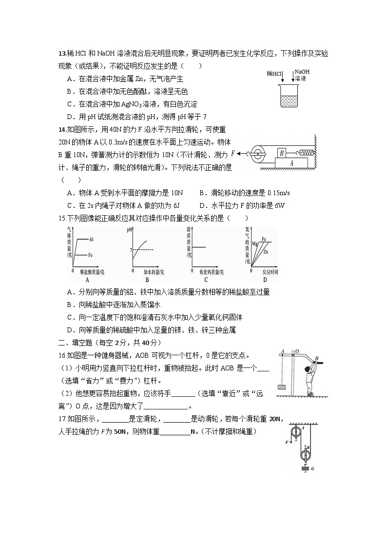 2024学年第一学期九年级科学期中考试试卷第3页