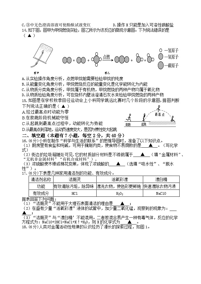 2024年九年级科学11月试卷综第3页