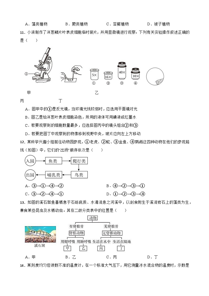 浙江省杭州江南实验学校2024-2025学年七年级上学期期中质量检测科学试题第3页