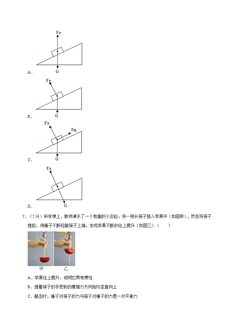 浙江省宁波市余姚市子陵教育集团2024-2025学年八年级上学期期中科学试卷第3页