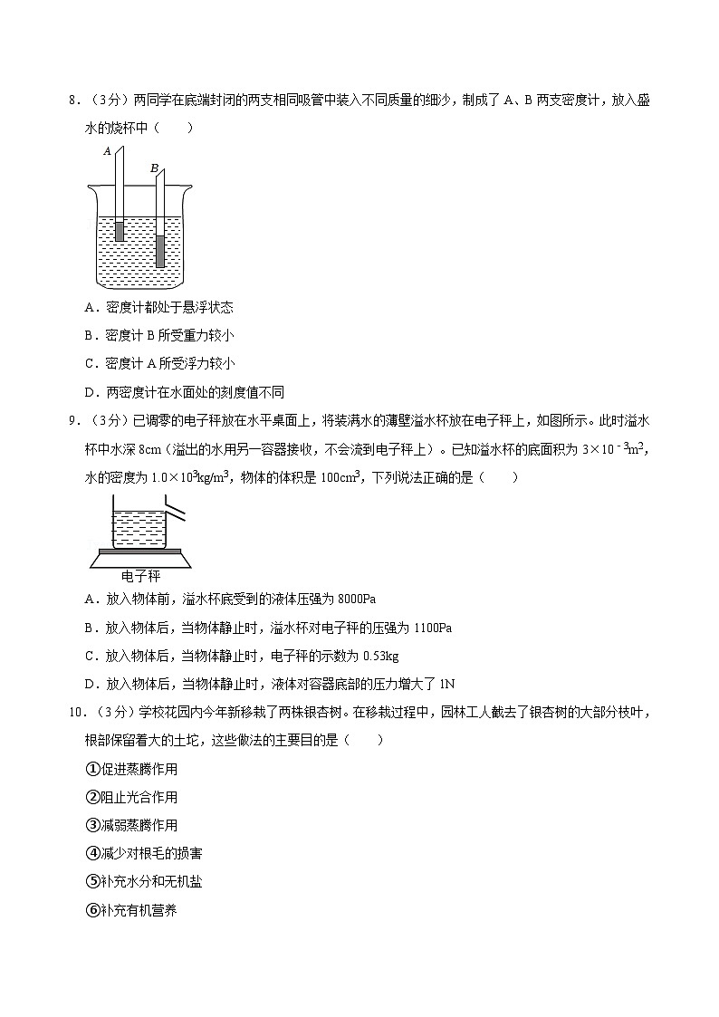 浙江省宁波市海曙外国语学校2024-2025学年八年级上学期期中科学试卷第3页