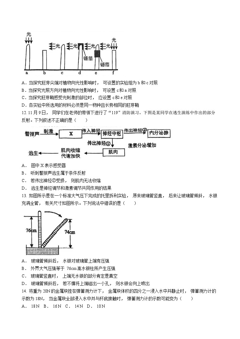 浙江省义乌市绣湖中学2024—2025学年上学期八年级科学期中考试质量检测卷第3页