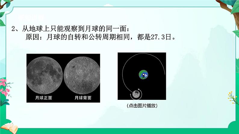 浙教版七上科学 4.3日地月的相对运动 课件第8页