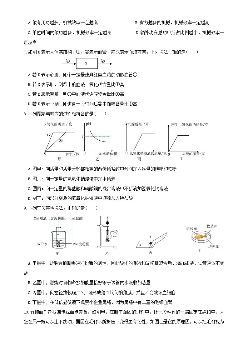 浙江省杭州市建兰中学2024-2025学年九年级上学期12月月考考试科学试题卷-A4第2页