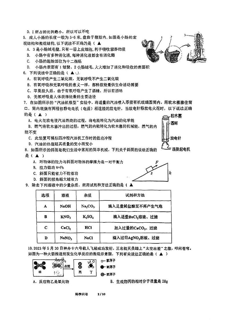 浙江省杭州市钱塘区学正中学2024-2025学年九年级上学期12月月考科学试题第2页