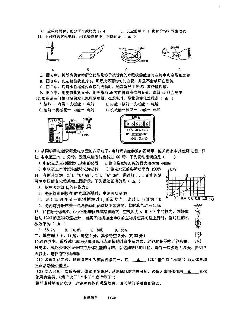 浙江省杭州市钱塘区学正中学2024-2025学年九年级上学期12月月考科学试题第3页
