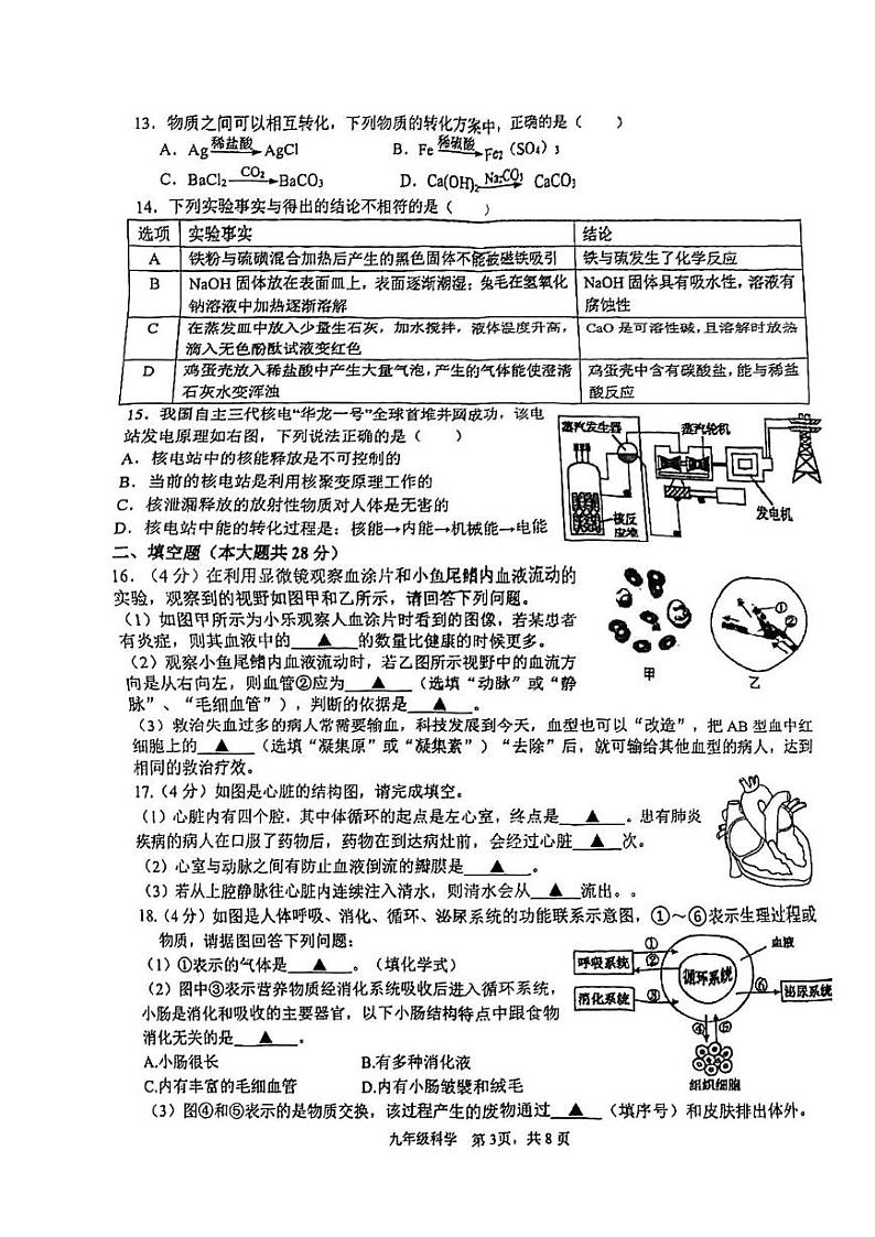 浙江省杭州市观城教育集团2024-2025学年九年级上学期12月月考科学试题第3页