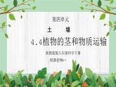 浙教版(2024)八下科学第4章节4.4《植物的茎与物质运输》课件+教案+分层作业（原卷版+解析版）