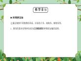 浙教版(2024)八下科学第4章节4.4《植物的茎与物质运输》课件+教案+分层作业（原卷版+解析版）