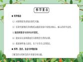 浙教版(2024)八下科学第4章节4.4《植物的茎与物质运输》课件+教案+分层作业（原卷版+解析版）