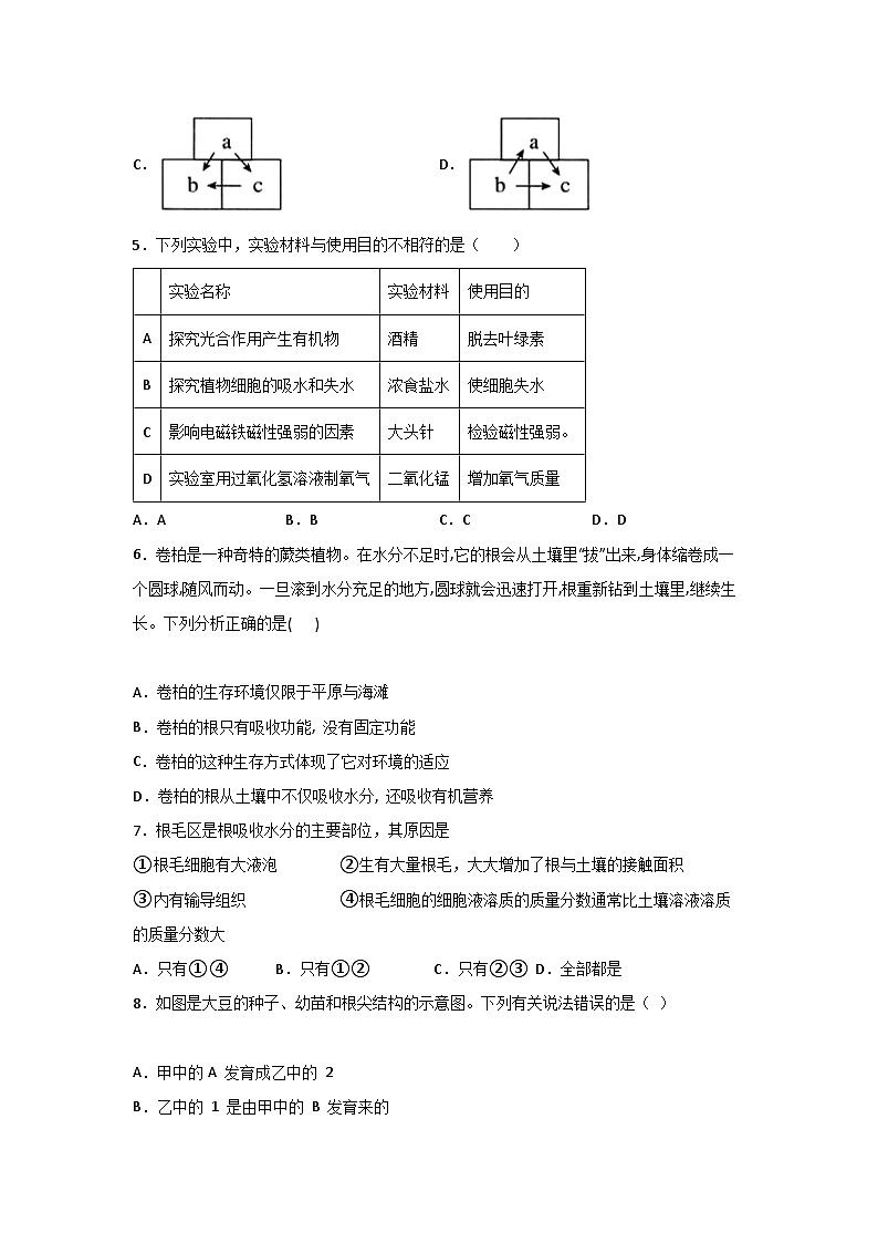 浙教版八下科学4.3《植物的根与物质吸收》同步作业(原卷版)第2页