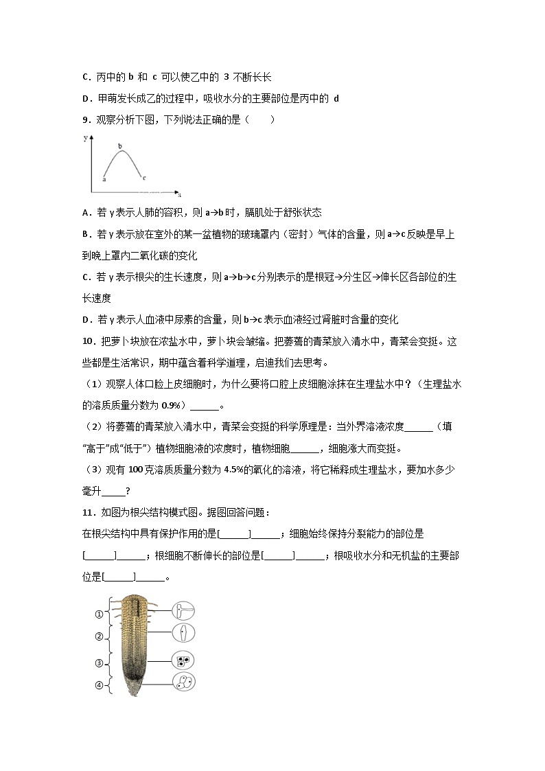 浙教版八下科学4.3《植物的根与物质吸收》同步作业(原卷版)第3页
