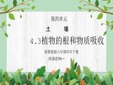 浙教版八下科學(xué)4.3《植物的根與物質(zhì)吸收》PPT課件