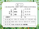 浙教版八下科學(xué)4.3《植物的根與物質(zhì)吸收》PPT課件