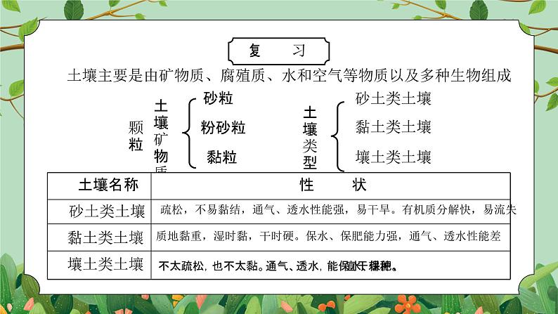 浙教版八下科学4.3《植物的根与物质吸收》PPT课件第4页