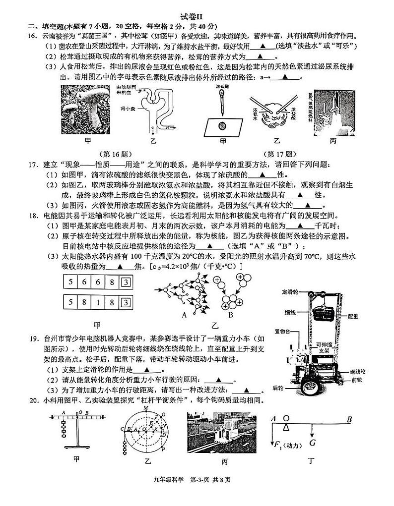浙江省台州市临海中学2024-2025学年九年级上学期期末测试科学试卷第3页
