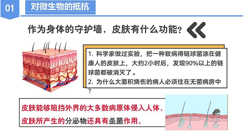 第三章 3.3 身体的防卫（教学课件）--九年级科学下册（浙教版）第7页