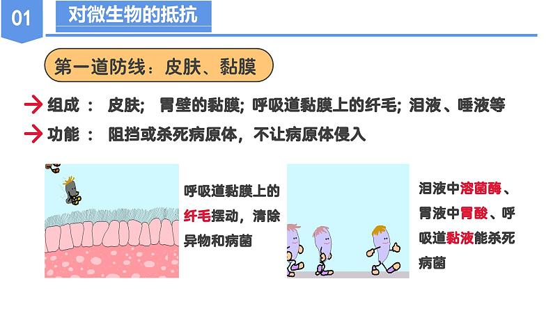 第三章 3.3 身体的防卫（教学课件）--九年级科学下册（浙教版）第8页