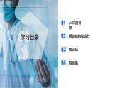 第三章 3.5 人的運(yùn)動系統(tǒng)和保?。ń虒W(xué)課件）--九年級科學(xué)下冊（浙教版）