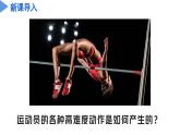第三章 3.5 人的運(yùn)動系統(tǒng)和保健（教學(xué)課件）--九年級科學(xué)下冊（浙教版）