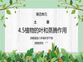 浙教版八下科學(xué)4.5《植物的葉與蒸騰作用》課件+教案+分層作業(yè)（原卷版+解析版）