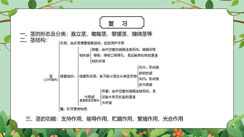 浙教版八下科学4.5《植物的叶与蒸腾作用》PPT课件第4页