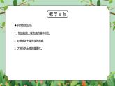 浙教版八下科学4.6《保护土壤》课件+教案+分层作业（原卷版+解析版）