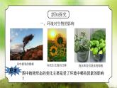 浙教版科學(xué)九下2.1《生物與環(huán)境的相互關(guān)系》（課件+教案+分層作業(yè)（原卷版+解析版））