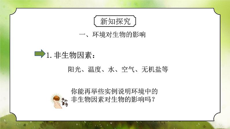 浙教版初中科学九下第2章生物与环境2.1《生物与环境的相互关系》课件第5页