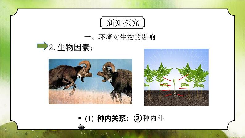 浙教版初中科学九下第2章生物与环境2.1《生物与环境的相互关系》课件第7页