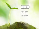 浙教版初中科学九下第2章生物与环境2.2《种群》课件+教案+分层作业（原卷版+解析版）