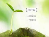 浙教版初中科学九下第2章生物与环境2.2《种群》课件+教案+分层作业（原卷版+解析版）