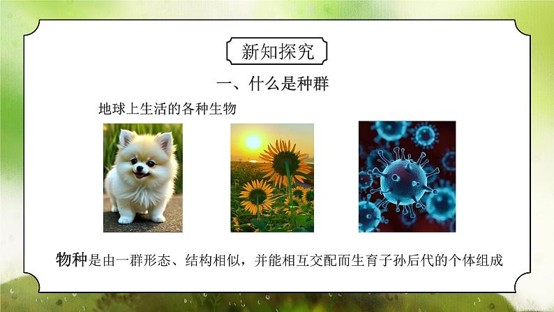 浙教版初中科学九下第2章2.2《种群》课件第4页