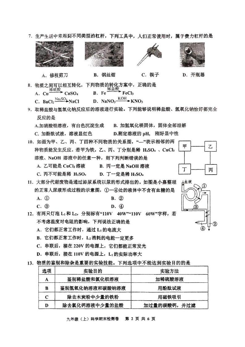 浙江省嘉兴市平湖市林埭中学2024-2025学年九年级上学期12月期末科学试题第2页