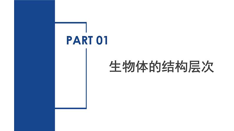 第1章 生命的结构与生殖（单元复习课件）-2024-2025学年七年级科学下册（浙教版2024）第3页